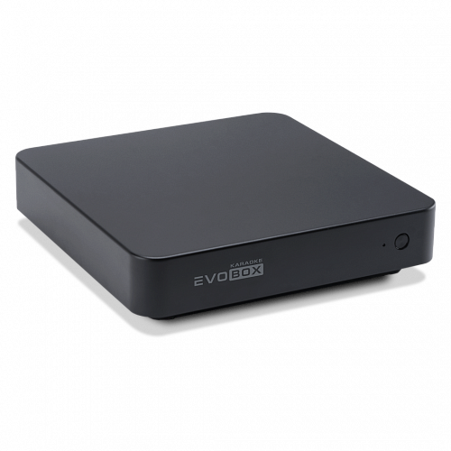 Караоке-система для дома EVOBOX
