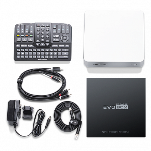 Караоке-система для дома EVOBOX