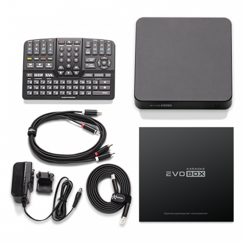 Караоке-система для дома EVOBOX