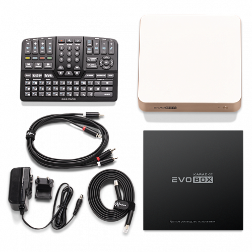 Караоке-система для дома EVOBOX