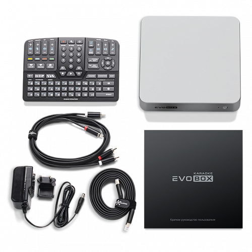 Караоке-система для дома EVOBOX