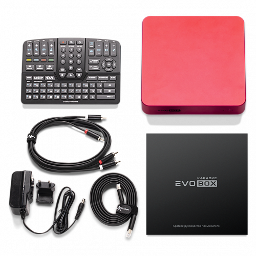 Караоке-система для дома EVOBOX
