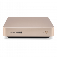 Караоке-система для дома EVOBOX