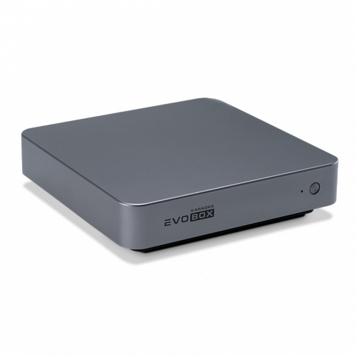 Караоке-система для дома EVOBOX