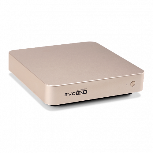 Караоке-система для дома EVOBOX